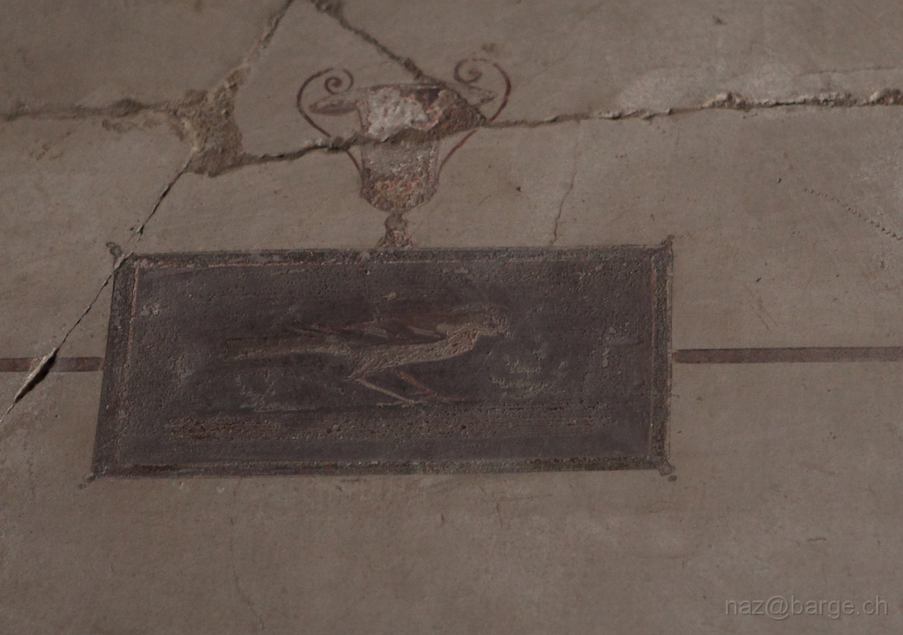 EOS 5D Mark II04_05_20121731.JPG